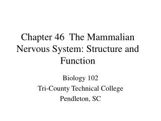 Chapter 46 The Mammalian Nervous System: Structure and Function