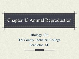 Chapter 43 Animal Reproduction