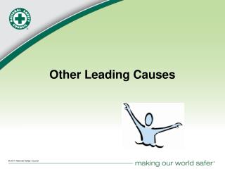 Other Leading Causes