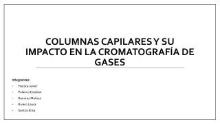 columnas capilares y su impacto en la cromatografía de gases