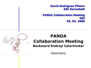 David Rodríguez Piñeiro GSI Darmstadt PANDA Collaboration Meeting GSI 05. 03. 2009