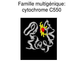 Famille multigénique: cytochrome C550