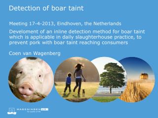 Detection of boar taint