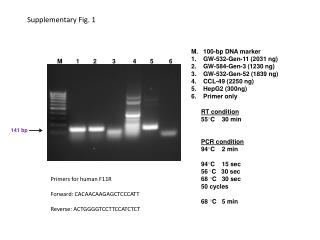RT condition 55 ○ C 30 min PCR condition 94 ○ C 2 min 94 ○ C 15 sec 56 ○ C 30 sec