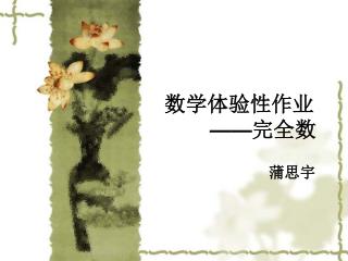 数学体验性作业 —— 完全数