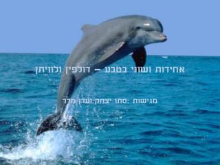 אחידות ושוני בטבע – דולפין ולוויתן