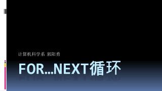 For…Next 循环