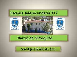 Escuela Telesecundaria 317
