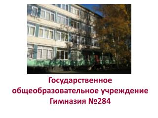 Государственное общеобразовательное учреждение Гимназия №284