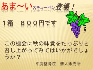 あま～ い スチューベン 登場！ １箱　８００円です