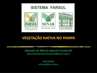 VEGETAÇÃO NATIVA NO PAMPA Ed uardo de Mércio Figueira Condorelli