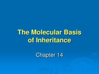 The Molecular Basis of Inheritance