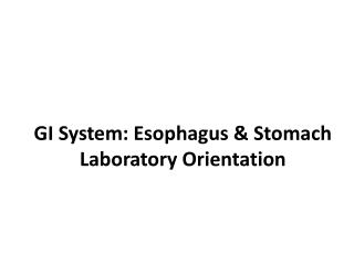 GI System: Esophagus &amp; Stomach Laboratory Orientation