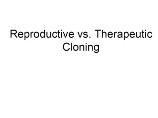 Nuclear reprogramming of cloned embryos and its implications for therapeutic cloning