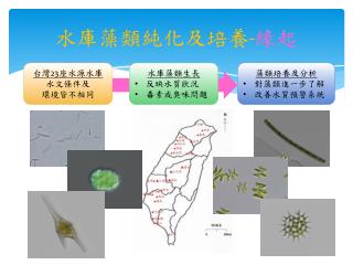 水庫藻類純化及培養 - 緣起