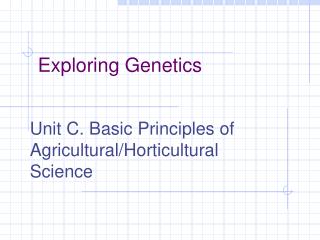 Exploring Genetics