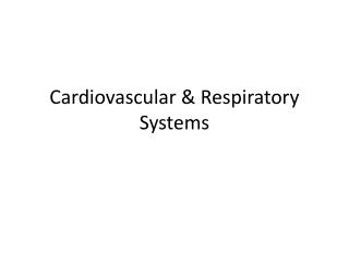 Cardiovascular &amp; Respiratory Systems