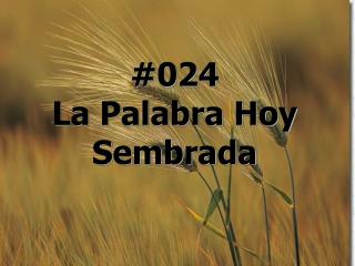 #024 La Palabra Hoy Sembrada