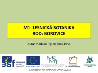 M1: LESNICKÁ BOTANIKA ROD: BOROVICE