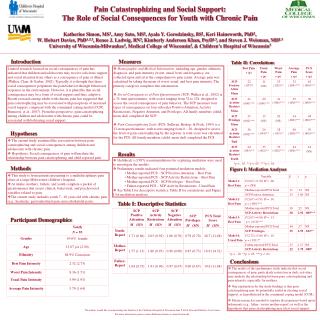 Pain Catastrophizing and Social Support: