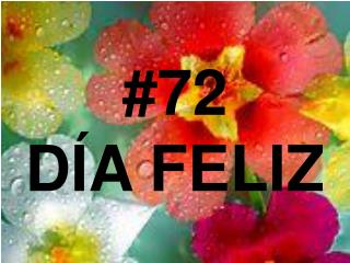 #72 DÍA FELIZ