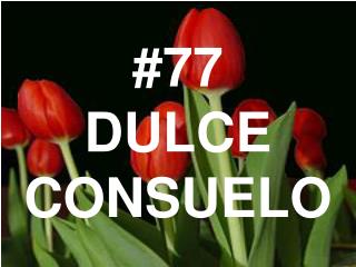 #77 DULCE CONSUELO