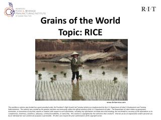 Grains of the World Topic: RICE