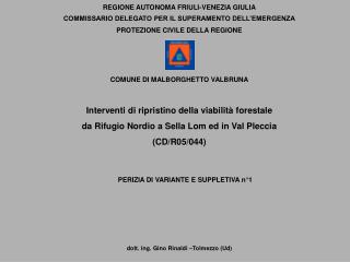 COMMISSARIO DELEGATO PER IL SUPERAMENTO DELL’EMERGENZA
