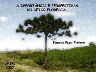 Eduardo Pagel Floriano