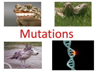 Mutations