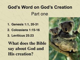 God’s Word on God’s Creation