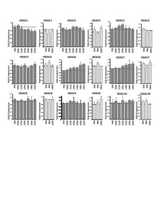 HDAC6