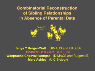 Combinatorial Reconstruction of Sibling Relationships in Absence of Parental Data