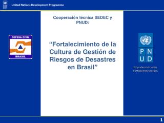Cooperación técnica SEDEC y PNUD: