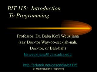 BIT 115: Introduction To Programming