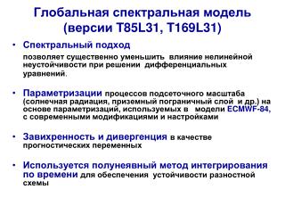 Глобальная спектральная модель (версии T85L31, T169L31 )