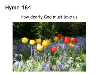 Hymn 164