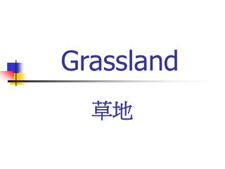 Grassland