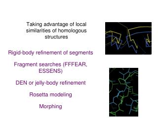 Taking advantage of local similarities of homologous structures