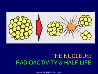 THE NUCLEUS: RADIOACTIVITY &amp; HALF-LIFE