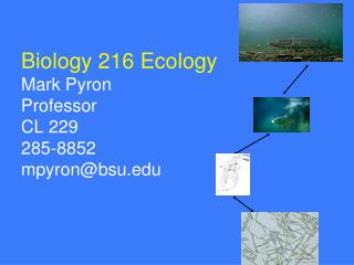 Biology 216 Ecology Mark Pyron Professor CL 229 285-8852 mpyron@bsu