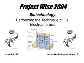 Project Wise 2004