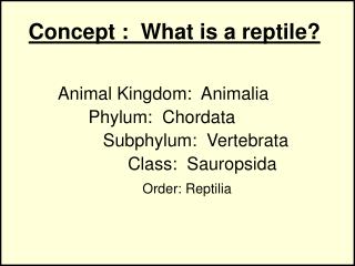 Concept : What is a reptile?