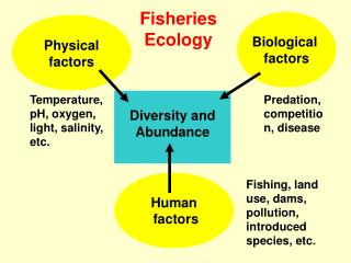 Diversity and Abundance