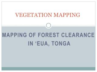 VEGETATION MAPPING