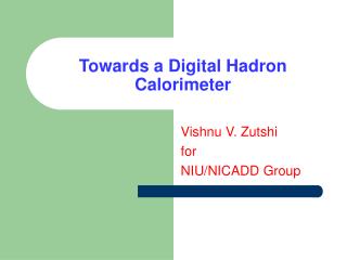 Towards a Digital Hadron Calorimeter