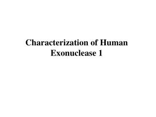 Characterization of Human Exonuclease 1