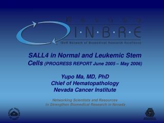 SALL4 in Normal and Leukemic Stem Cells (PROGRESS REPORT June 2005 – May 2006) Yupo Ma, MD, PhD Chief of Hematopathology