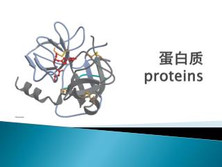 蛋白质 proteins