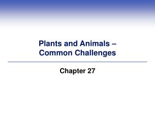 Plants and Animals – Common Challenges